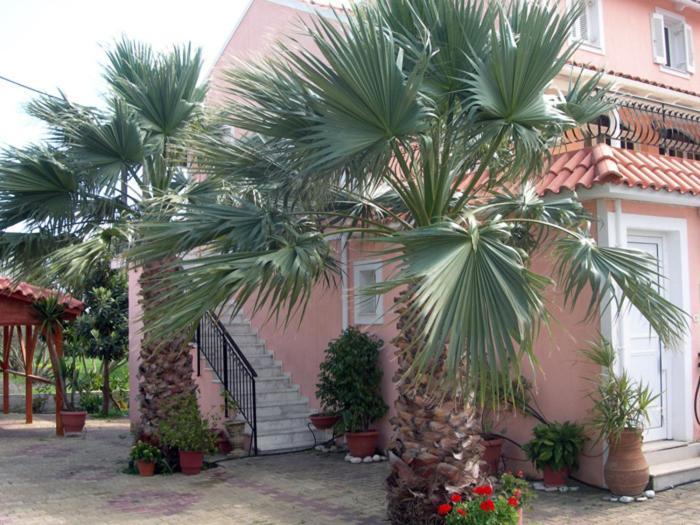 Katerina Studios Svoronata Ngoại thất bức ảnh